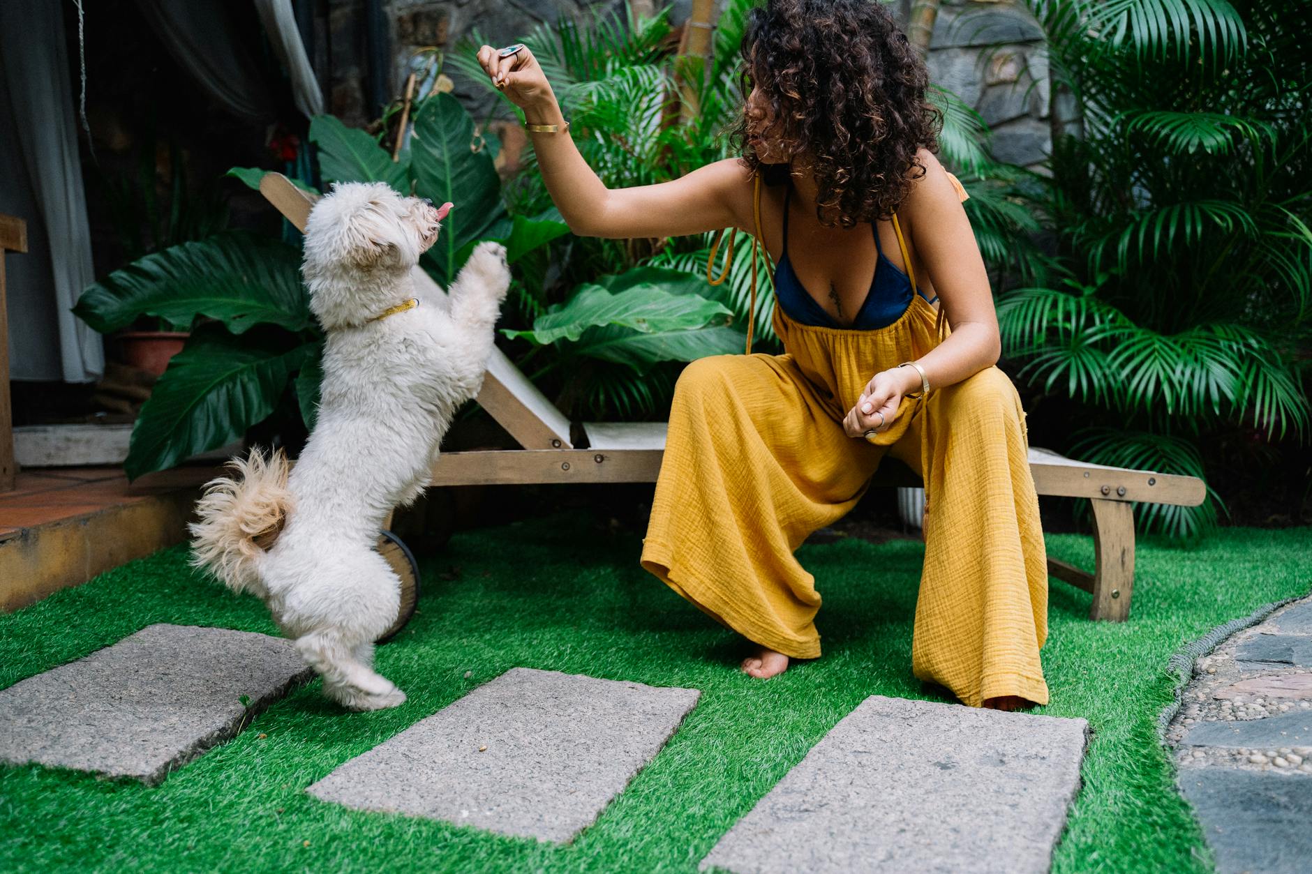 Kobieta bawi się z psem na zielonej trawie wśród roślin