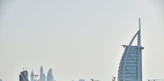 Pies często się drapie, ale nie ma pcheł: 8 możliwych przyczyn świądu Burj Al Arab na tle panoramy Dubaju
